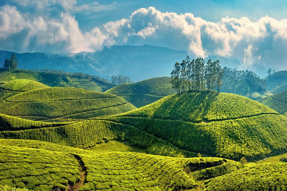 Munnar–Thekkady Scenic Retreat